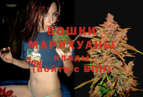дживик Козловка