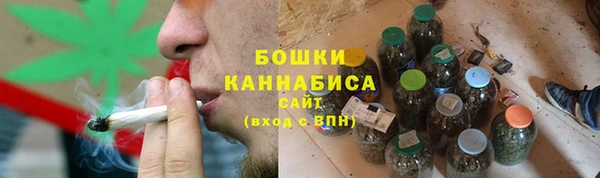 дживик Козловка