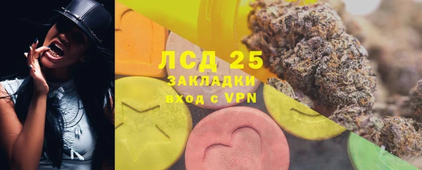 дживик Козловка