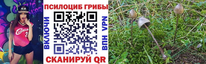 Псилоцибиновые грибы ЛСД  дарнет шоп  Новомосковск 